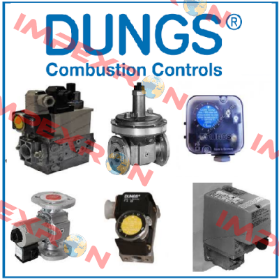 DMV-D 520 /11 230 VAC Dungs