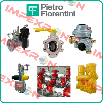 Omega VI Rotary Gas Meter  Pietro Fiorentini