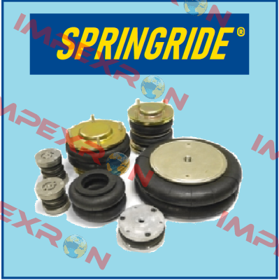 106735 Springride