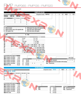 FMP-065-3-B-A-G1-A06-N-P01 MP Filtri